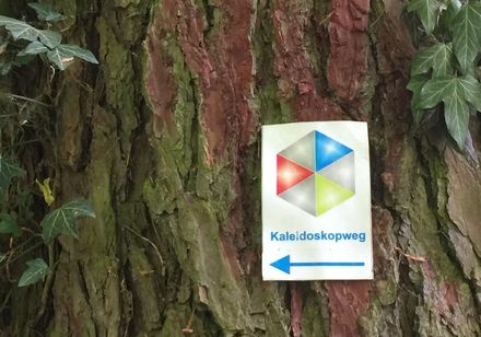 Een van de vele hoogwaardige wandelroutes, de Kaleidoscope Trail bij Bad Driburg - Teutoburgerwoud