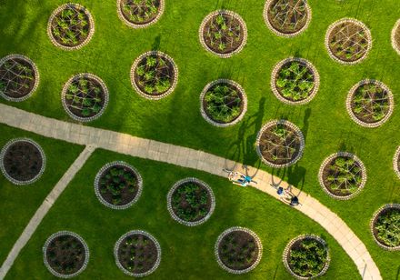 Fietsregio Teutoburgerwoud: Fietsers in Nordpark Bielefeld van bovenaf